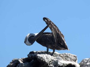 IMG_2357